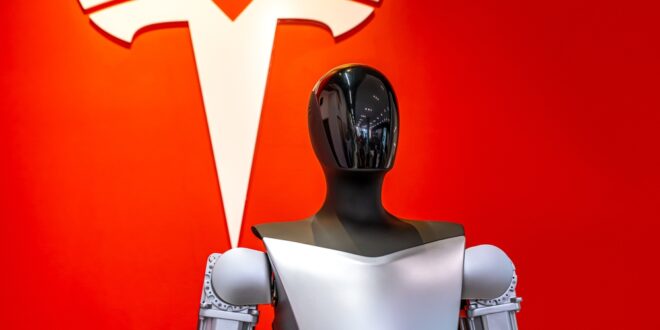 Is Tesla going into meltdown? Board denies CEO swap as Elon fumes - CSN News