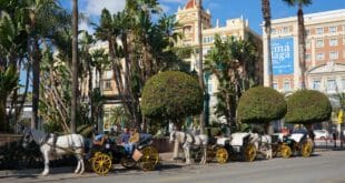Malaga gets rid of horse-drawn carriage rides in 2025