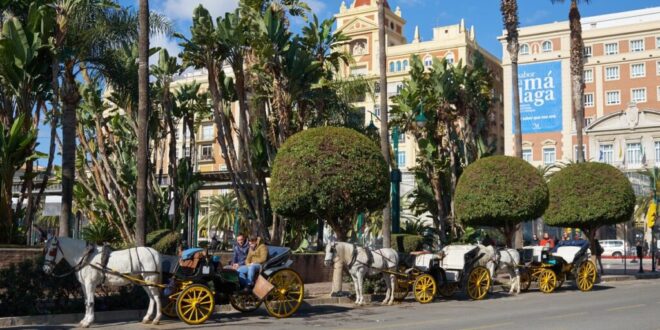 Malaga gets rid of horse-drawn carriage rides in 2025