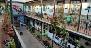 Malaga’s patios: the spring event most tourists miss