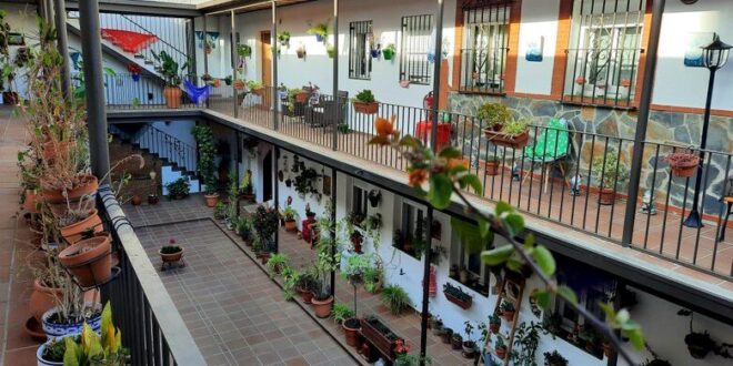 Malaga’s patios: the spring event most tourists miss