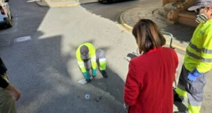 Costa Blanca city has sewers blasted with pesticide to stop cockroach explosion