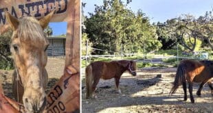 Slow down Fuengirola