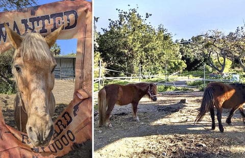 Slow down Fuengirola