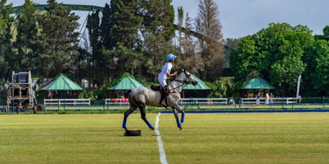 Sotogrande hosts luxury polo weekend