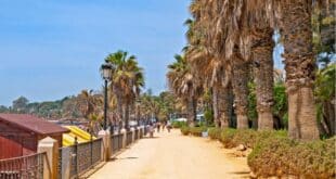Swap languages, get steps in and enjoy Marbella