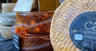 Taste artisan cheese at Quesarte in Marbella