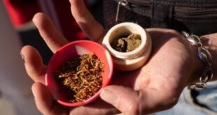 Spanish police make huge haul of contraband tobacco ‘smuggled in from Gibraltar’