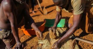 Uganda’s export earnings rise, driven by gold and coffee