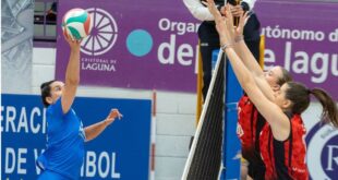 Cristina Cruzado, a Malaga woman in the volleyball elite