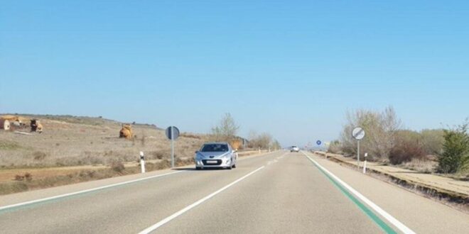 New green lines are appearing on Spanish roads : Here’s what they mean