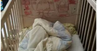 THE PSYCHOLOGY OF THE ‘HOUSE OF HORRORS’ PARENTS IN SPAIN – FROM MUNCHHAUSEN TO FOLIE-À-DEUX