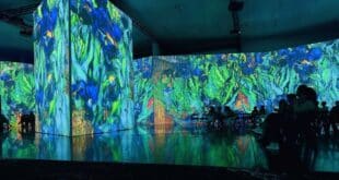 Van Gogh up close, Estepona