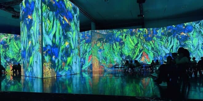 Van Gogh up close, Estepona