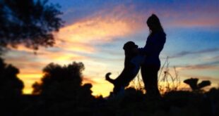 EU puts their foot down to protect pets
