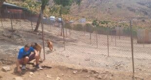 ADANA stays: no truth to eviction claims