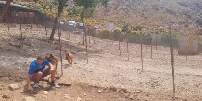 ADANA stays: no truth to eviction claims