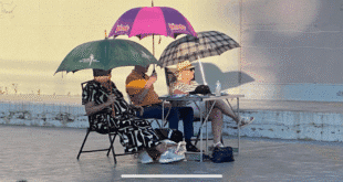 Charity event at Benahavis Lark in the Park