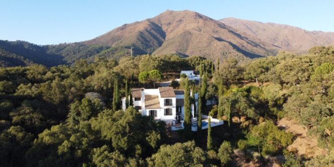 Gentle yoga and Ayurvedic brunch in Casares