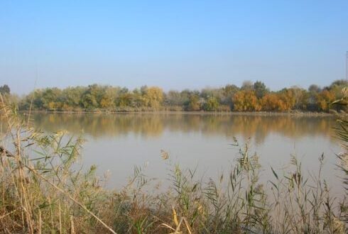 THE DANGERS OF ‘COOLING OFF’ IN SPAIN’S RIVERS AND POOLS