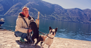 Should you take your dog on holiday in 2025?