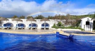 Jazz in the Coín hills