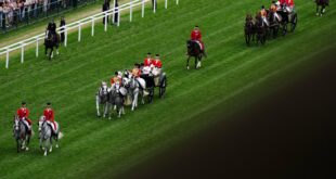 Spanish-bred horse named after Costa del Sol town lines up at Royal Ascot tomorrow