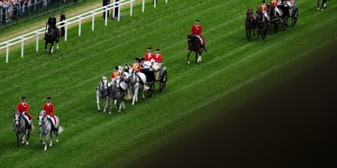 Spanish-bred horse named after Costa del Sol town lines up at Royal Ascot tomorrow