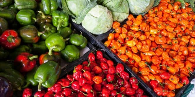 Shop local at the spring market in San Pedro