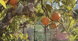 Solstice clay workshop in Monda