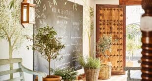 Weekly nutrition workshops at Marbella Club