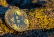 How the U.S. Bitcoin Reserve Is Shaping Global Crypto Market Trends