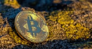 How the U.S. Bitcoin Reserve Is Shaping Global Crypto Market Trends