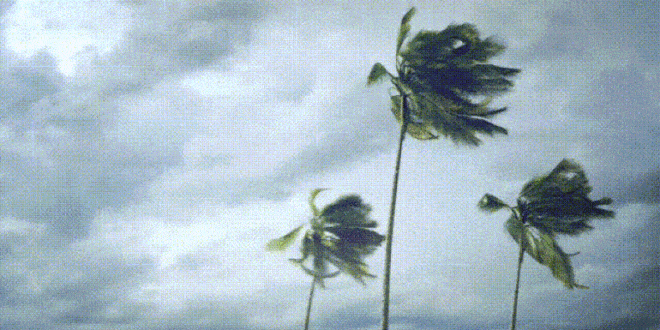 Gale Force Wind Warning This Afternoon - CSN News