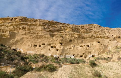 Al dente dog travel – flying in doggy style