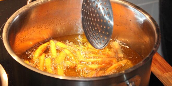 The controversial topic of seed oils – healthy or harmful?