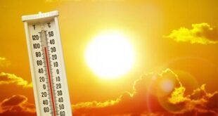Orange alert for excessive heat in parts of Alicante with ‘equatorial’ nights predicted