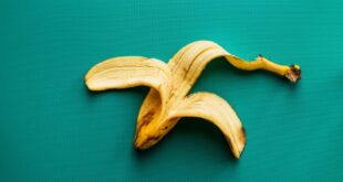 Can bananas replace sunscreen?