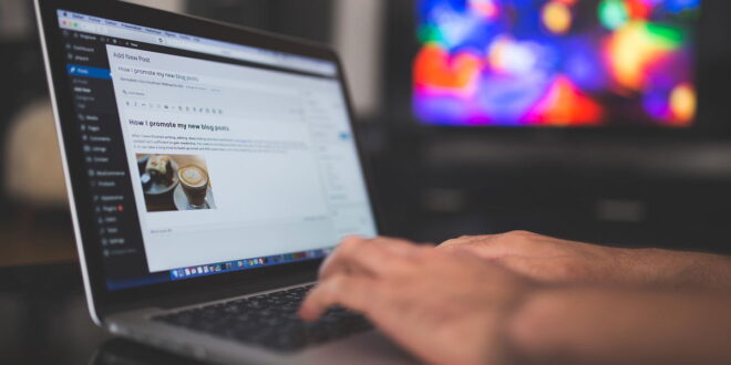 Baleares sees record numbers of freelancers
