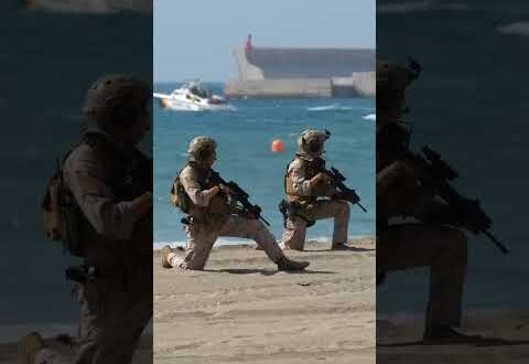 WATCH: Tourists astonished as troops, helicopters and full might of Spanish Navy storm Malaga beach