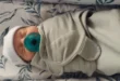 A record-breaking baby born from 30-year-old embryo
