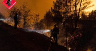 ‘Extreme risk’ of forest fires due to heatwave and strong westerly winds in Spain’s Valencia region