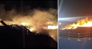 Malaga wildfires break out
