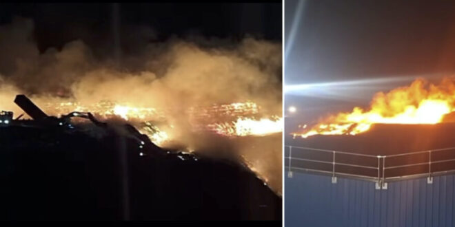 Malaga wildfires break out