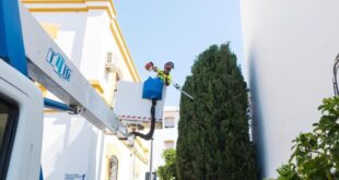 San Pedro spruces up for summer