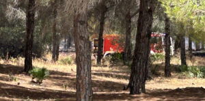 Wildfire breaks out near Alhaurín Golf
