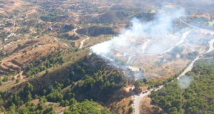 Wildfire, Altavista Urbanisation, Sierra de Mijas