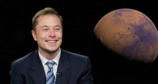 Musk enters political arena with new ‘America Party’
