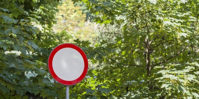 Caught out by Spain’s empty road sign? Here’s what it means – and why it could cost you €200