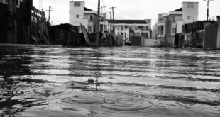 Valencia planning two huge parks to absorb future flood surges